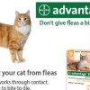 Advantage II Single Dose Trial Pack for Cats