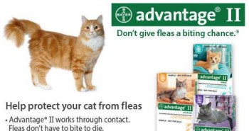 Advantage II Single Dose Trial Pack for Cats