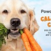 Powder 4 Paws California Carrots Dog Food Supplement