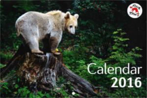 Four Paws 2016 Calendar