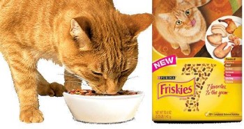 Friskies 7 Cat Food