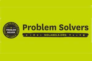 Problem Solvers Bumper Magnet