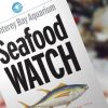 FREE Seafood Watch Consumer Guides