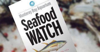 FREE Seafood Watch Consumer Guides
